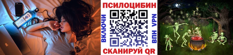 Галлюциногенные грибы MAGIC MUSHROOMS  где найти   Шумерля 