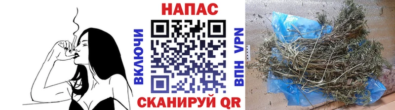 где купить наркоту  Шумерля  Бошки Шишки OG Kush 